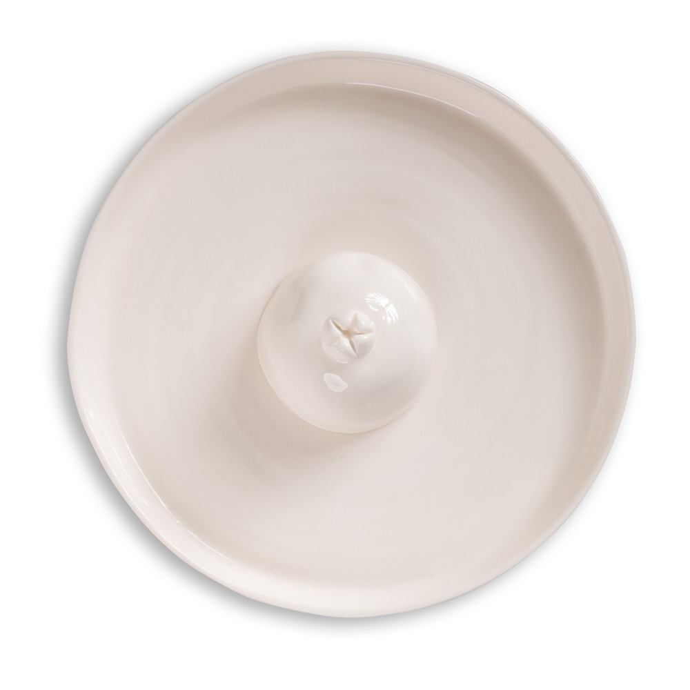 צלחת תפוח בדבש