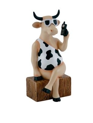 פרה ממתינה לשיחה